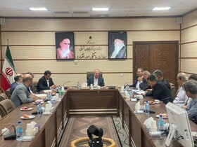 کشاورزی دانش‌بنیان راهکار اصلی جلوگیری از خام‌فروشی گیاهان دارویی است
