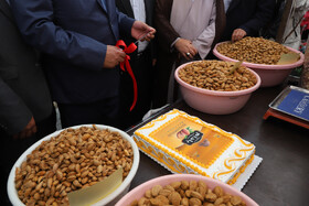 جشنواره بادام خسروشاه -  آذربایجان شرقی