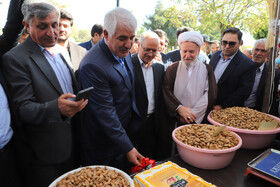  بازدید داود گرشاسبی فرماندار تبریز از غرفه های جشنواره بادام خسروشاه
