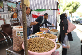 جشنواره بادام خسروشاه -  آذربایجان شرقی