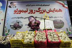 جشنواره سیر تیمورلو