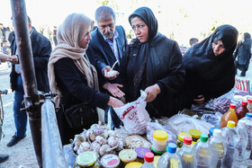جشنواره سیر تیمورلو