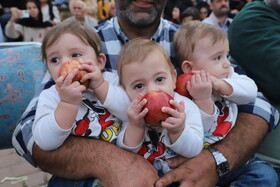 اختتامیه دوازدهمین جشنواره سیب مراغه