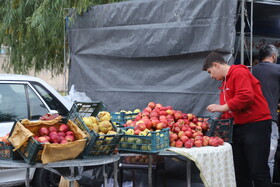 اختتامیه دوازدهمین جشنواره سیب مراغه