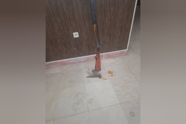 دستگیری یک گروه شکارچی غیرمجاز در میانه