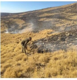 محیطبانان اسکو آتشسوزی مراتع منطقه حفاظتشده را مهار کردند
