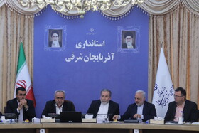 توسعه تجارت با آفریقا نقطه اشتراک دولت و بخش خصوصی آذربایجان‌ شرقی/ تبریز به هاب تجاری منطقه تبدیل می‌شود