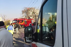 جان‌ باختن کارگر جوان در حین هرس درختان در تبریز