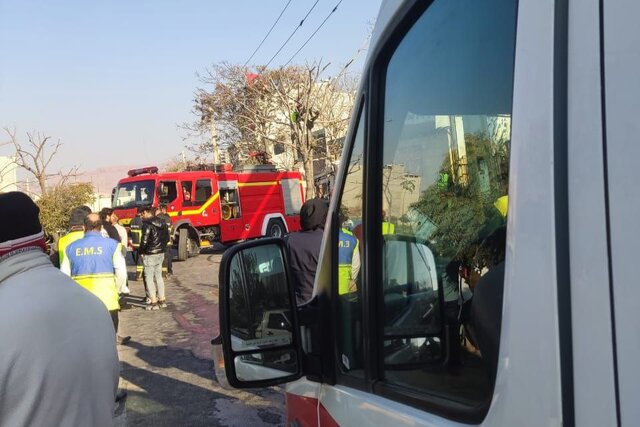 جان باختن کارگر جوان در حین هرس درختان در تبریز جان باختن کارگر جوان در حین هرس درختان در تبریز