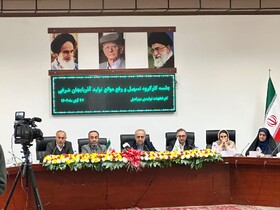 استاندار آذربایجان‌ شرقی: واحدهای تحت مدیریت زنان در اولویت ستاد تسهیل تولید قرار دارند