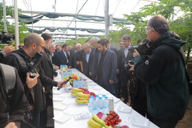 بازدید سیدعلی مدنی‌زاده، وزیر امور اقتصادی و دارایی از واحد های صنعتی و گلخانه‌ای منطقه آزاد ارس