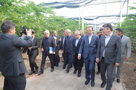 بازدید سیدعلی مدنی‌زاده، وزیر امور اقتصادی و دارایی از واحد های صنعتی و گلخانه‌ای منطقه آزاد ارس