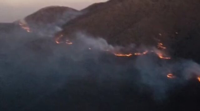 نبرد بی‌وقفه با شعله‌ها در جنگل‌های دیزمار آذربایجان‌شرقی/ انتظار برای بالگرد