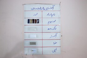 جایی که امید با دستان توان‌خواهان شکل می‌گیرد - تبریز