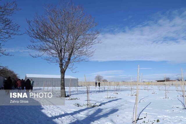 تشریح پروژه های شهرداری تبریز/ از خاکبرداری خیابان الوار تا احداث زمین چمن مصنوعی مایان