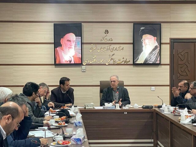 معاون استاندار: ظرفیت بخش خصوصی در آذربایجان شرقی بسیار بالاست