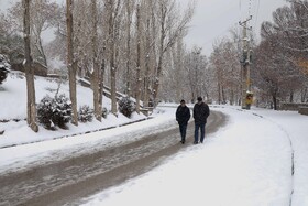 سپید برف بر تبریز