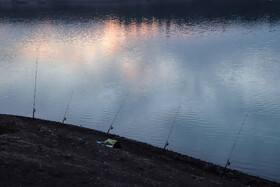 کم شدن آب سد باعث کاهش جمعیت ماهیان شده است.