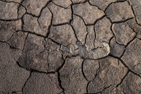 به دلیل نزدیکی به شهر تبریز، این سد با هدف تامین بخشی از آب شهر تبریز احداث شد. اما برخی دخالت های انسانی، برای حجم ذخیره آب پشت این سد مشکلاتی ایجاد کرده است