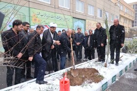  توزیع یک میلیون و ۸۰۰ هزار اصله نهال در آذربایجان شرقی