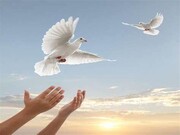 آزادی ۱۳۱ زندانی غیر عمد یزدی در نیمه نخست سال ۱۴۰۵