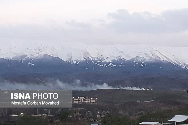 خسارت سرمازدگی به ۵۰ تا ۱۰۰ درصد محصولات سردرختی اهر