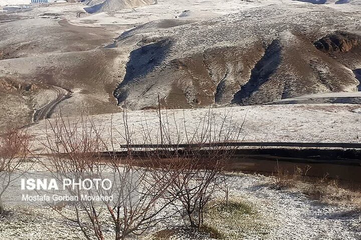 خسارت سرمازدگی به ۵۰ تا ۱۰۰ درصد محصولات سردرختی اهر
