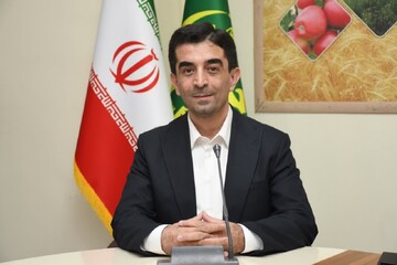 صعود دو پله‌ای آذربایجان‌شرقی در تولید گوشت مرغ؛ نقش پررنگ استان در امنیت غذایی کشور