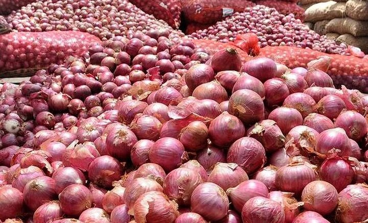پیش‌بینی تولید ۱۴۶ هزار تن پیاز در مزارع آذربایجان غربی