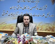 پیش بینی ۷۱ مرکز خرید تضمینی گندم در آذربایجان شرقی 