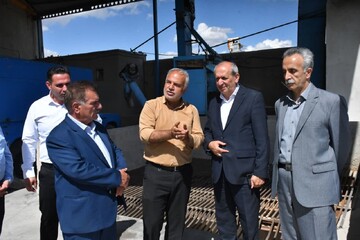۹۹ درصد لپه کشور در شهرستان آذرشهر تولید می‌شود