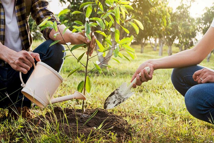 محیط زیست در تنگنای بی‌توجهی؛ سهم ما در نجات زمین چیست؟