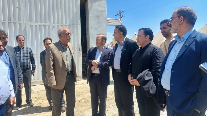 مراغه، قطب کشاورزی آذربایجان‌شرقی؛ از باغات سیب تا حفظ اراضی