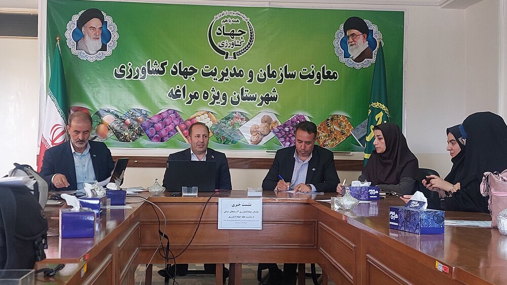 مراغه، قطب کشاورزی آذربایجان‌شرقی؛ از باغات سیب تا