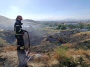مهار آتش‌سوزی علف‌های هرز در اراضی دانشگاه تبریز