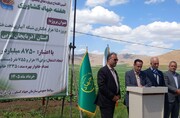 افتتاح پروژه ۱۵ هزار هکتاری شبکه آبیاری تحت فشار و زهکشی آذربایجان غربی