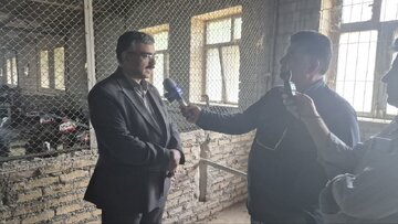 ایستگاه تاتار آذربایجان شرقی، به قطب ملی اصلاح نژاد و حفاظت از ذخایر بوقلمون تبدیل شده است
