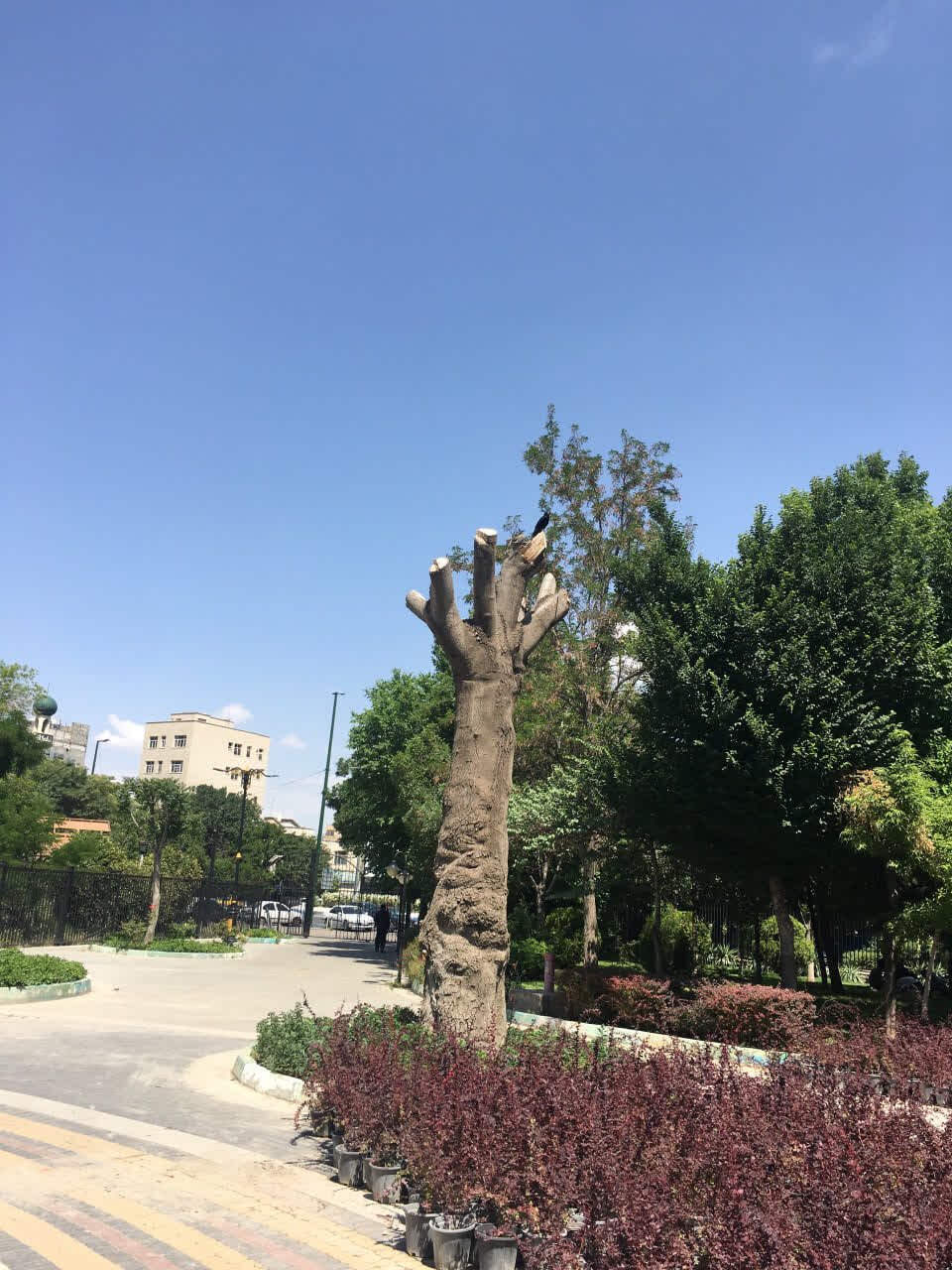 شناسایی گنجینههای زنده باغ گلستان؛ گامی نوین در توسعه فضای سبز سازگار با اقلیم تبریز