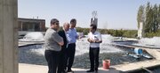 سرانه مصرف آبزیان در آذربایجان شرقی به ۸.۹ کیلوگرم رسید