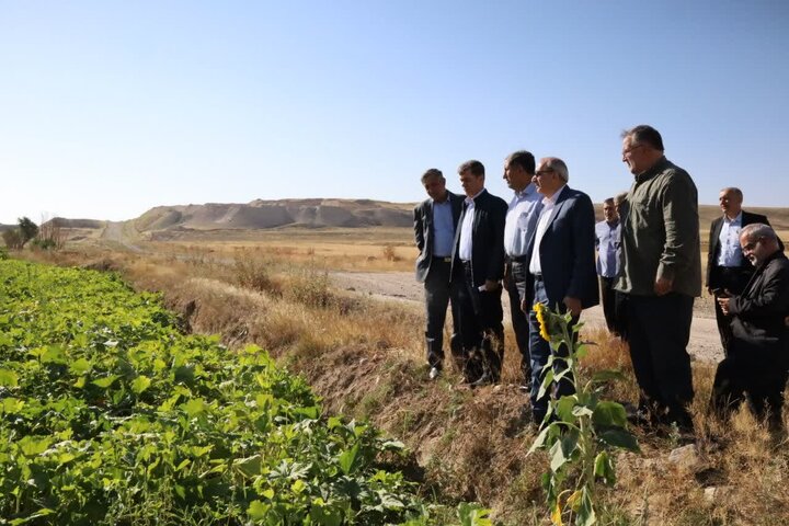 کشت قراردادی راهکاری برای کاهش ریسک تولید، ایجاد اطمینان در بازار و افزایش درآمد پایدار