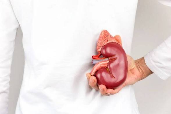 یک فوق تخصص کلیه: ۹۰ درصد کیست‌های کلیه خوش‌خیم هستند
