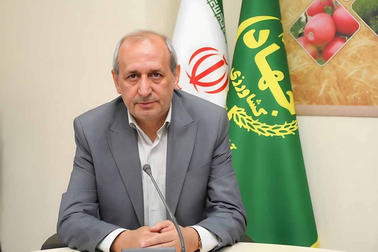 افزایش ۱۱۳ درصدی تولید حبوبات در آذربایجان شرقی