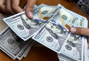 نیکزاد: تعهد ارزی به مانعی برای صادرات محصولات کشاورزی تبدیل شده است