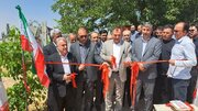 بهره‌برداری از ۳ پروژه آب و خاک و باغبانی در بخش کشاورزی میاندوآب به مناسبت هفته دولت