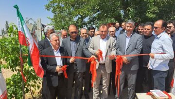 بهره‌برداری از ۳ پروژه آب و خاک و باغبانی در بخش کشاورزی میاندوآب به مناسبت هفته دولت
