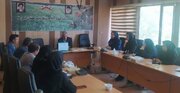 تبریز در مسیر توسعه کشت کلزا؛ ۲ هزار هکتار سطح مجاز کشت اعلام شد
