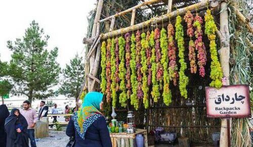 نهمین دوره جشنواره انگور ارومیه آغاز بکار کرد