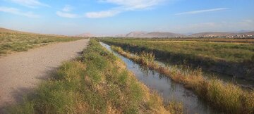 تخصیص یک میلیون مترمکعب حقابه به تالاب بین‌المللی کانی‌برازان مهاباد