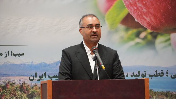 سیب آذربایجانغربی پشت درِ بازارهای جهانی