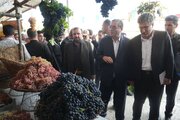 استاندار آذربایجان غربی: انگور سیاه میرآباد در بازارهای داخلی و خارجی معرفی شود